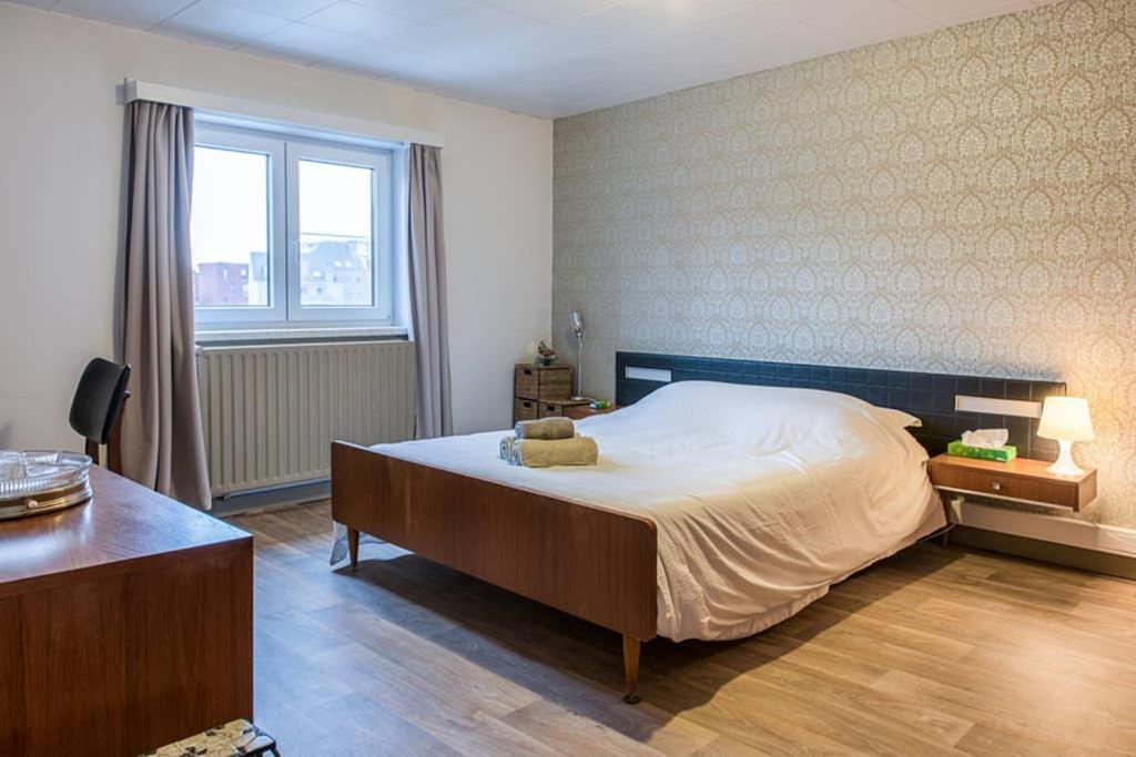 Vakantiewoning In Mol Centrum Met Eigen Bar "Casacuriosa" Kültér fotó