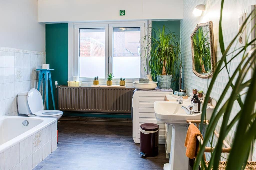 Vakantiewoning In Mol Centrum Met Eigen Bar "Casacuriosa" Kültér fotó